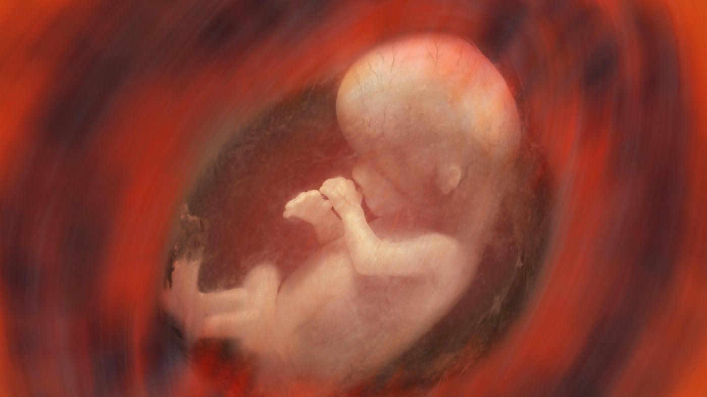 What Happens Before Creating an Embryo? The Scientific Work That Makes Surrogacy Possible